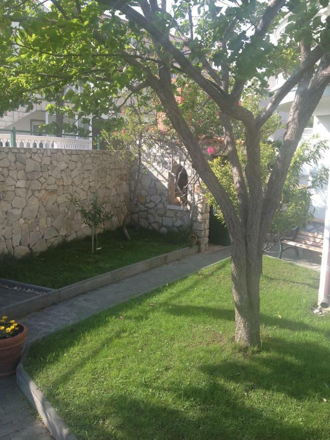 Apartmani Vukicevic Водице Экстерьер фото